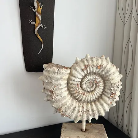 Thiago פוארטו קאלרו