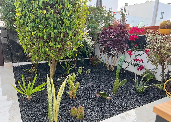 別荘 Thiago プエルト・カレロ