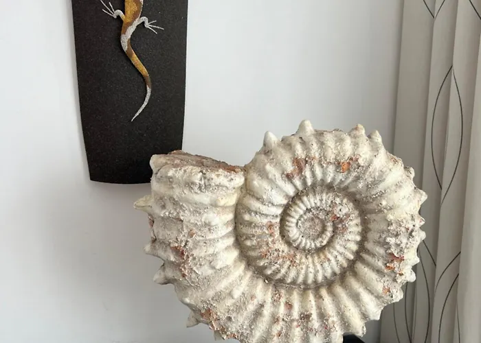 Thiago بْوُرتو كاليرو