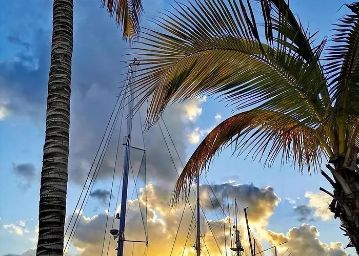 Thiago بْوُرتو كاليرو